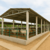 Madurai’s First Dedicated Cattle Pound Sanctioned at Bethaniyapuram