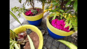madurais ezhil koodal initiative wilts under poor upkeep littering